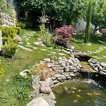рак Varna