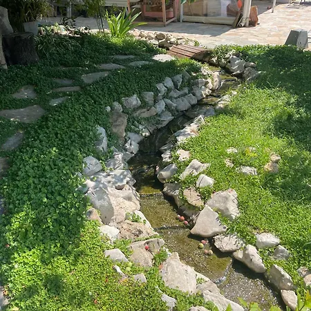 рак Varna